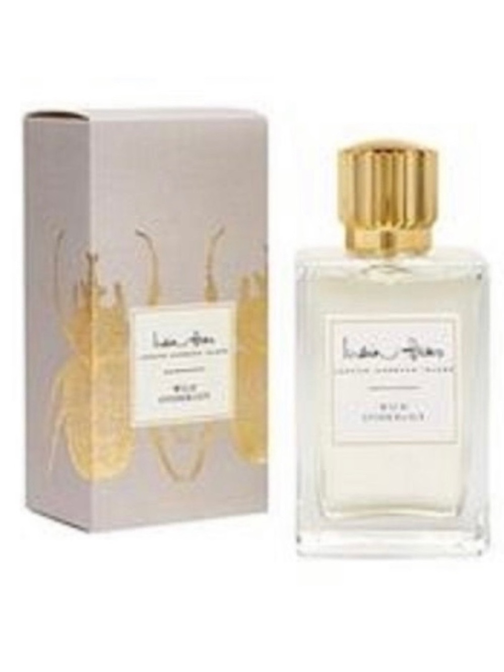 India Hicks Wild Spiderlily - 75% Full